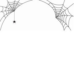 &ldquo;世界最大のクモの巣&rdquo;発見、約31坪強に11万匹が在住