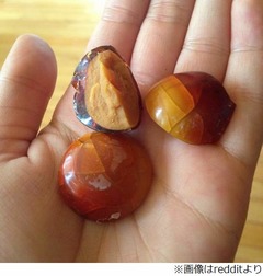 卵を何年か放置しておいたら、想像とは違う中身に驚きの声が続々。