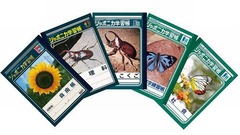 ジャポニカ学習帳人気1位は？ 昆虫が独占した各年代1位表紙を復刻へ。