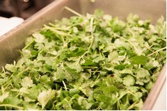 &ldquo;パクチー新年会&rdquo;行ってみた、パクチーを熱く語り食べ尽くす。