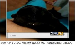 &ldquo;瀕死の子犬に授乳&rdquo;論議呼ぶ、死なせるのは「耐えられなかった」。