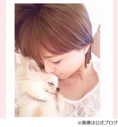 釈由美子が第1子の妊娠を発表、妊活長期戦覚悟も結婚後すぐ授かり驚く。