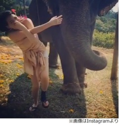 可愛すぎる知英&ldquo;ゾウのマネ&rdquo;、大はしゃぎする姿に絶賛の嵐。