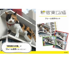 新宿東口の&ldquo;飛び出す猫&rdquo;&ldquo;巨大3D猫&rdquo;、フレーム切手セットに