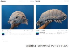 グソクムシの巨大ぬいぐるみ、沼津港深海水族館で販売スタート。