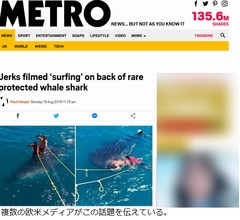 &ldquo;ジンベイザメに乗ってサーフィン&rdquo;で大炎上