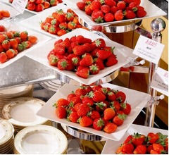 約6銘柄のフレッシュいちご食べ比べビュッフェ