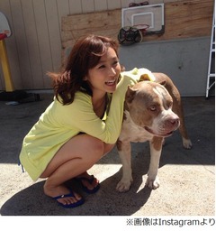 吉木りさがピットブルにピタッ「ぶちゃいくわんちゃん（ハート）」。