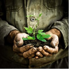 30年間黙々と&ldquo;木を植えた男&rdquo;、今では広大な森林に多くの動物の姿。