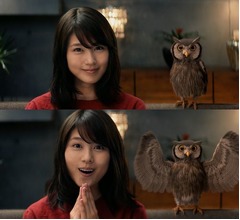 有村架純、ミミズクと一緒にビックリ