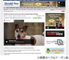 &ldquo;思い出の歌&rdquo;で救出された犬、収容施設で歌に合わせて吠え処分免れる。