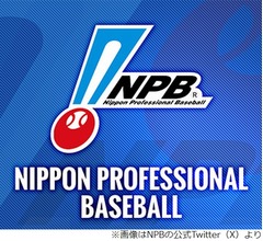 日本野球機構（NPB）、&ldquo;打球に触る&rdquo;など観客の試合妨害に注意喚起