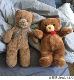 母が準備した30年越しの計画、ボロボロ＆新品のテディベアが話題に。