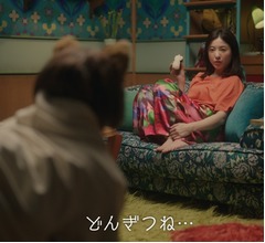 吉高由里子＆板垣李光人で&ldquo;どんぎつね&rdquo;新CMシリーズがスタート