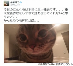 指原莉乃が「本当に重大発表」を予告