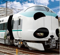 みんな笑顔になる&ldquo;パンダ顔&rdquo;の特急列車