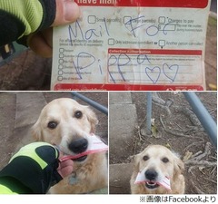 郵便屋さんとわんこの心温まる友情