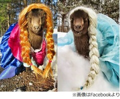 邪悪な雰囲気漂うアナとエルサ、強烈な存在感放つ&ldquo;芸達者&rdquo;現る。