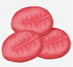 タモリ、牛タンにキレて&ldquo;意見&rdquo;電話