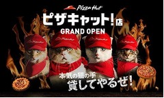 猫の手借りた「ピザキャット」、4匹の猫が全力で「ピザハット」運営挑戦。