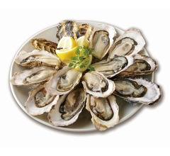オイスターバー27店舗が生牡蠣全品半額