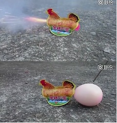 人気爆発&ldquo;タマゴを産む&rdquo;花火、あまりの品薄で本物の鶏より高額に。