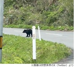 狩野英孝が&ldquo;野生のクマ&rdquo;に遭遇「ロケ中。え？え？？怖い。。」