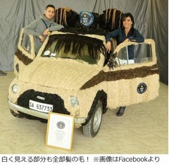 名車に&ldquo;オシャレ&rdquo;人毛で覆う、本物の髪にこだわり1,000万円以上投資。