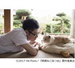 ゲーム「ねこあつめ」がまさかの実写映画化