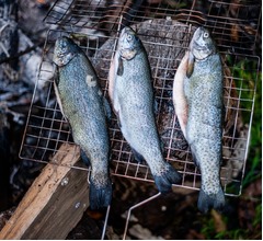 娘に&ldquo;生きていくためのスキル&rdquo;教えたら&hellip;家族やネットからも反発