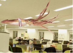 ダイオウイカ編集長就任も不評、くまモンに続き「web R25」が抜てき。