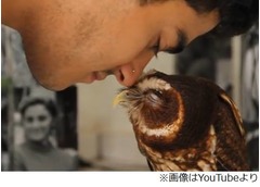 スリスリされフクロウうっとり、キュートな姿がファービー似の声も。
