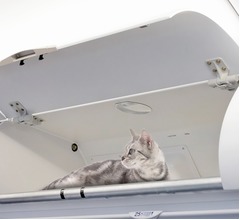 【4月1日】猫も快適な空の旅「ニャーストクラス」