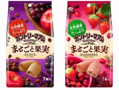 フルーティなカントリーマアム、チョコチップの代わりにドライフルーツ。