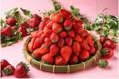 フレッシュあまおうが食べ放題、ちらし寿司やパスタなどのいちご料理も。