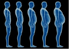 &ldquo;太ってるだけ&rdquo;なら早死せず、肥満と寿命の関係が過去10年で変化。