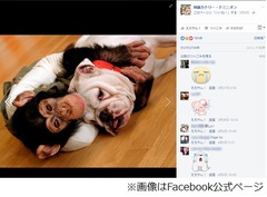 パンくん相棒ジェームズ天国へ、「志村どうぶつ園」報告に悲しみの声。