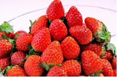 旬の苺と苺デザートが食べ放題、横浜ベイシェラトンが2つのフェア開催。