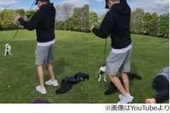 ネコの首にひも巻き振り回す、挑発する10代少年たちに世界から非難。