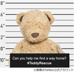 紛失ぬいぐるみの救出大作戦、駅に「帰り方わからなくて」ポスター。