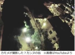 カモメがカメラ持ち去り撮影、カンヌの街が眼下に広がる映像の真偽は。
