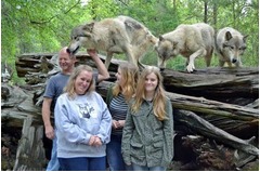 【写真】オオカミにお父さんが襲われた、背後から忍び寄る&hellip;写真が話題。