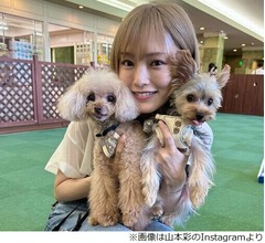 山本彩の&ldquo;犬を飼い始めたきっかけ&rdquo;にさらば森田が同情