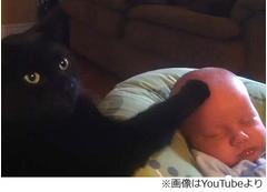 ぐずる赤ちゃんをなだめる猫、頭をなでなでする&ldquo;優しい動画&rdquo;が話題に。