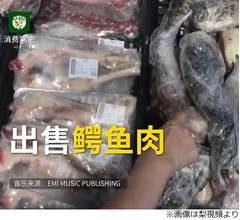 スーパーにワニ出没&rarr;捉えてぶつ切り肉にして販売