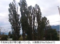 街に響き渡る不気味な音の謎、一部住民は&ldquo;スカイクエイク&rdquo;疑う。