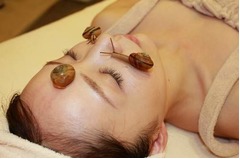 顔にカタツムリ這わせ美肌に、シーズ・ラボが&ldquo;生カタツムリ体験&rdquo;。