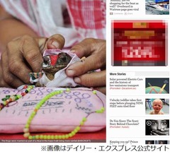 カエルの結婚式に1000人超参列、水不足に悩むインドの街で盛大に。