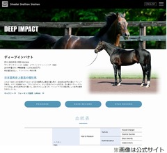 ディープインパクトが急逝、頸椎骨折で安楽死