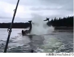 シャチの攻撃受け宙舞うアシカ、釣り船から撮影された映像が話題に。